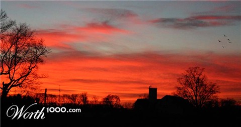 Photography by rdchdwck