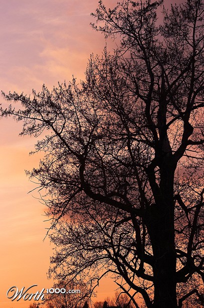 Photography by borbor