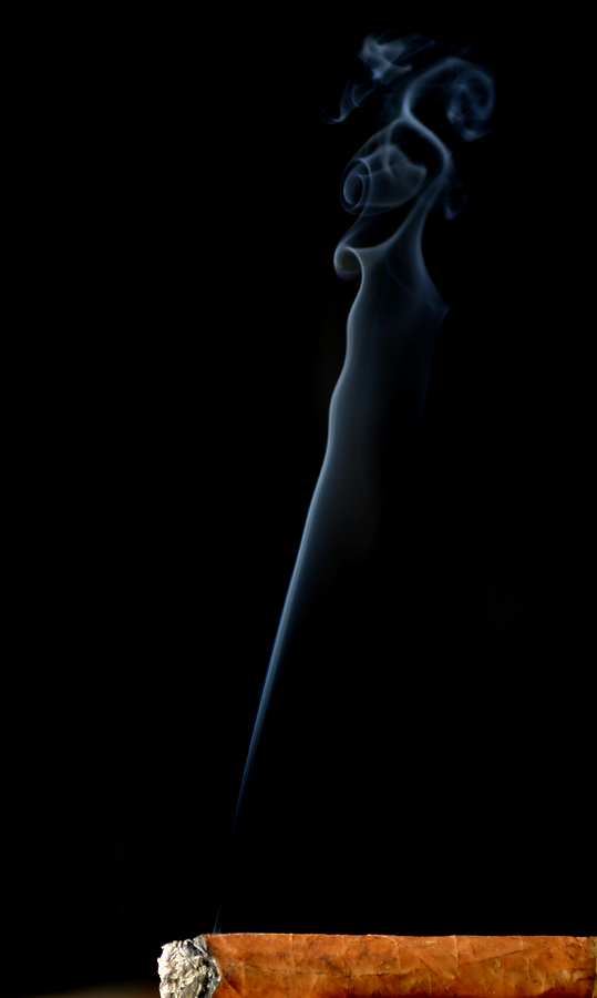 Photography by SigloV for DesignCrowd (Community Contests) | Design #9083333