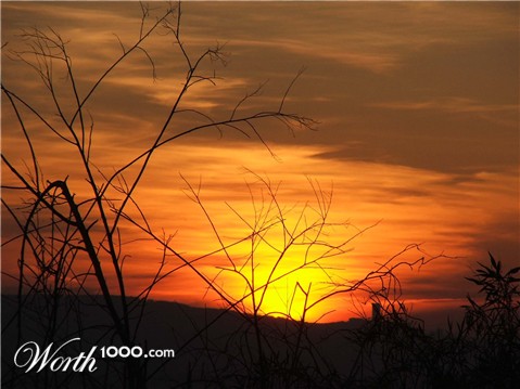 Photography by GreyElf