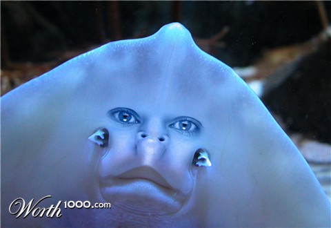 Photoshop Design by echoburst