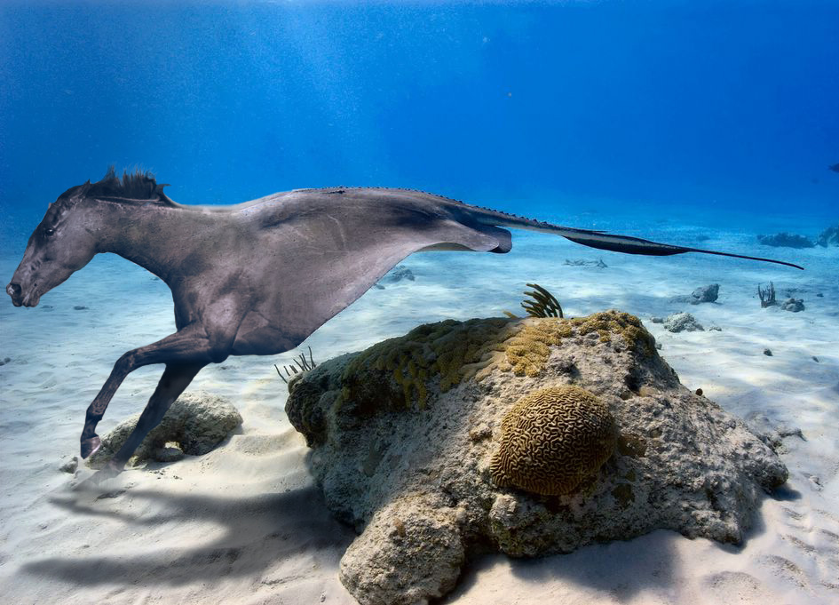 Photoshop-Design von adamcoop280 für DesignCrowd (Community Contests) | Design #9082036