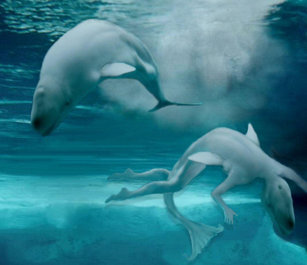 Photoshop Design by jhasara for DesignCrowd (Community Contests) | Design #9082028