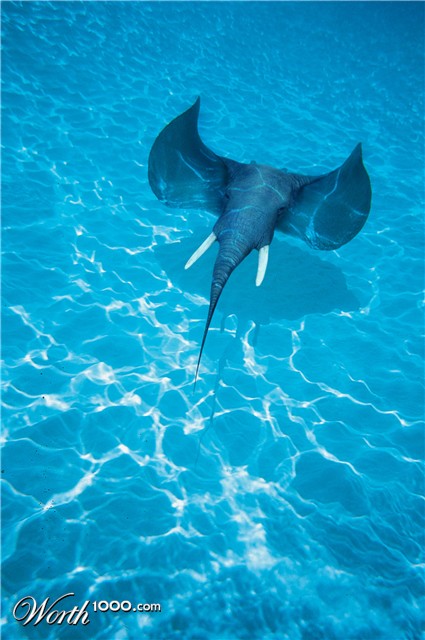 Photoshop Design by rafvdv