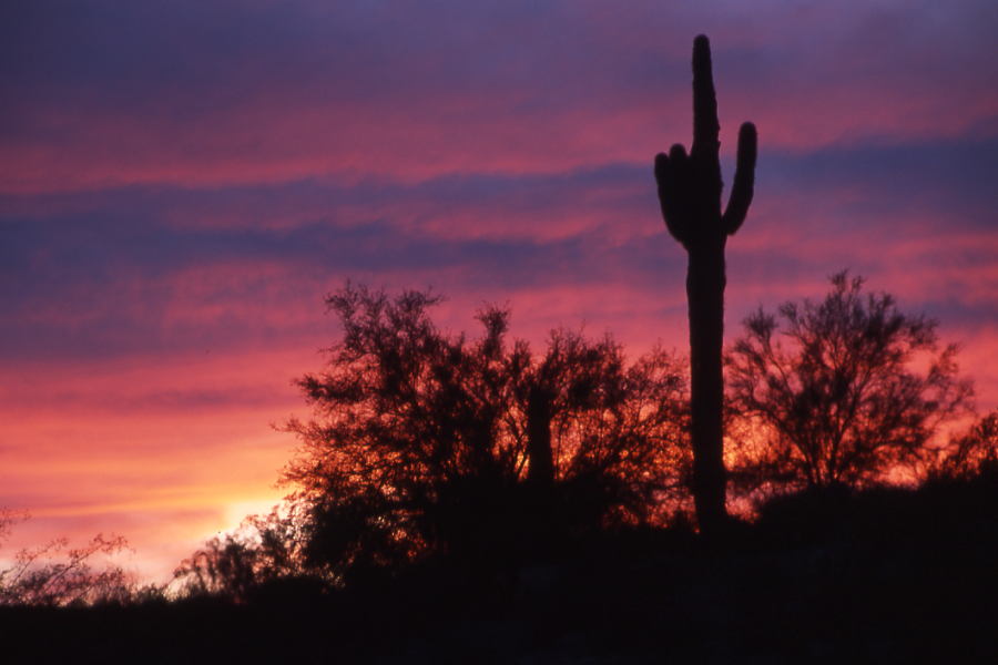 Photography by Rambis for DesignCrowd (Community Contests) | Design #9076986