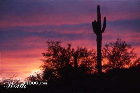 Photography by Rambis