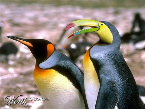 Photoshop Design by Schapie