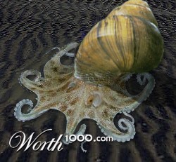 Photoshop Design by whapango