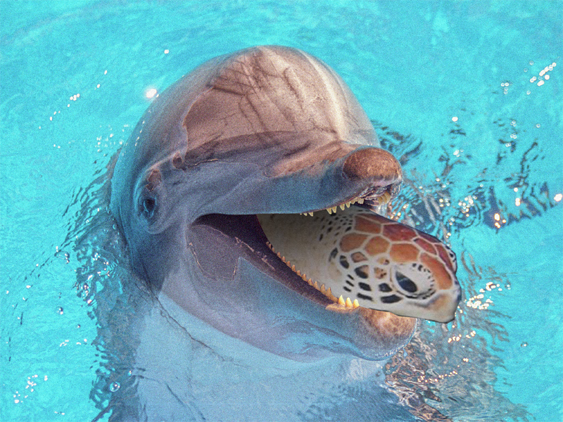 Diseño de Photoshop por aapen21 para DesignCrowd (Community Contests) | Diseño #9082068