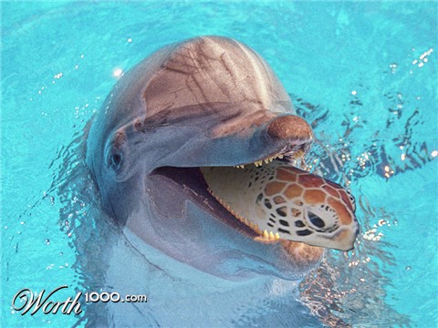 Photoshop Design by aapen21