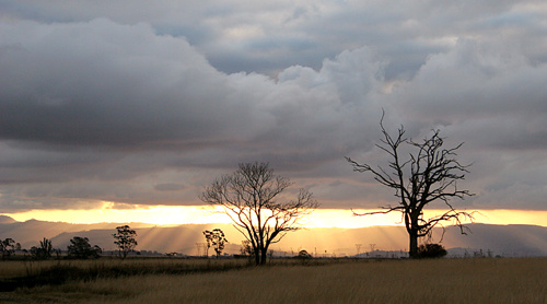 Photography by savagebrut for DesignCrowd (Community Contests) | Design #9076966