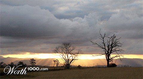 Photography by savagebrut