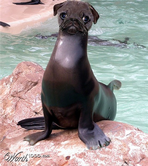 Photoshop Design by jachang