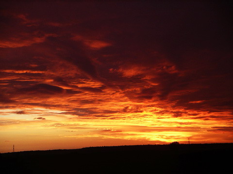 Photography by azkycia for DesignCrowd (Community Contests) | Design #9077273