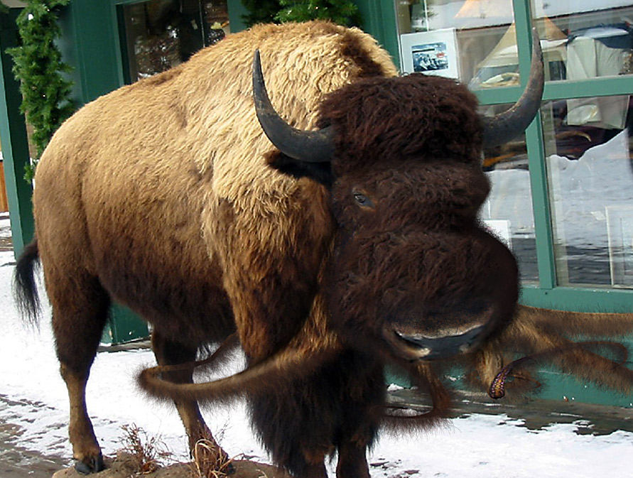 Photoshop-Design von PulsisX für DesignCrowd (Community Contests) | Design #9082172