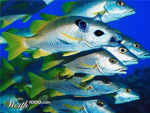 Photoshop Design by konwai