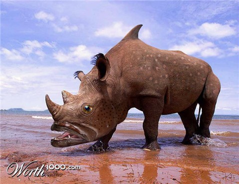 Photoshop Design by ozplasmic