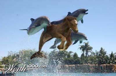 Photoshop Design by Gammerus