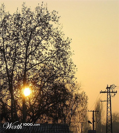 Photography by SnezaL