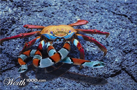 Photoshop Design by spiraleye