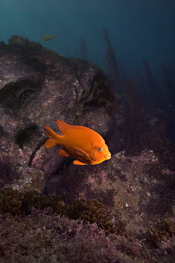 Photoshop-Design von rafvdv für DesignCrowd (Community Contests) | Design #9075900