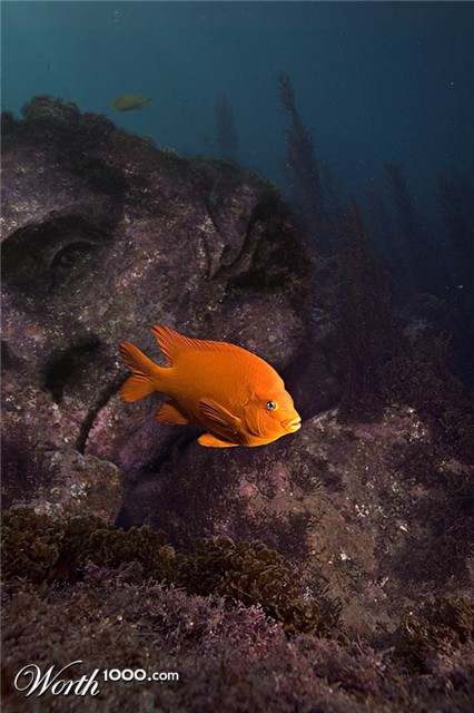 Photoshop Design by rafvdv