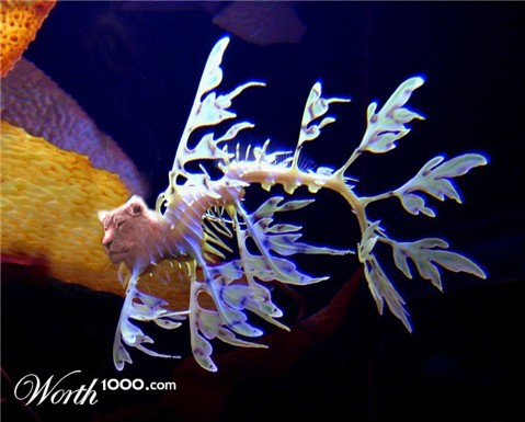 Photoshop Design by leo