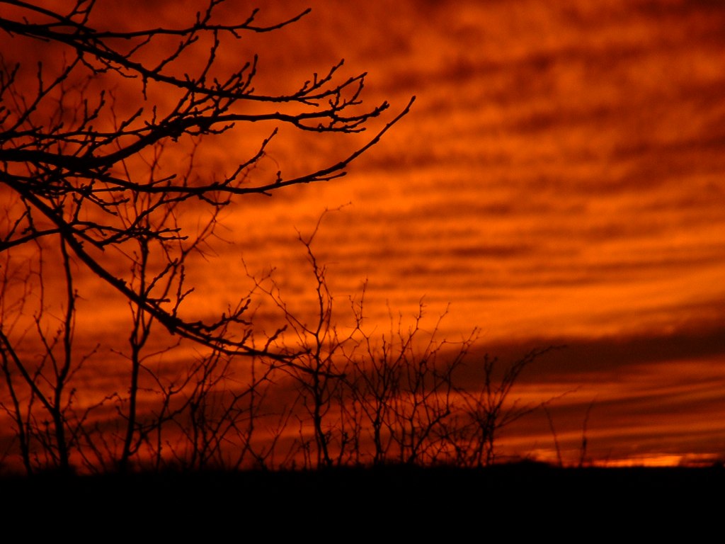 Photography by Ckmn463j for DesignCrowd (Community Contests) | Design #9077343