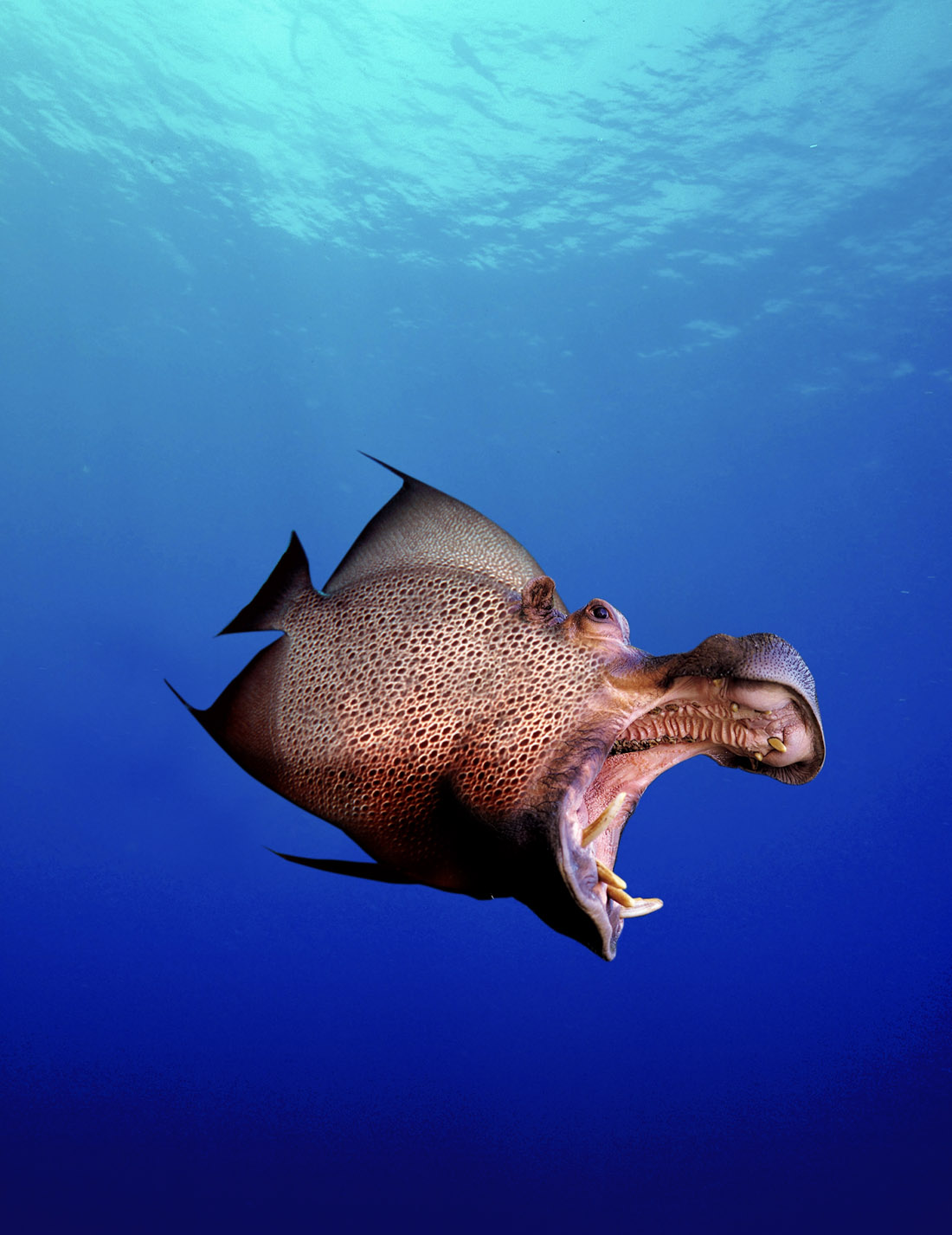 Photoshop Design by damonfreemanza for DesignCrowd (Community Contests) | Design #9082145