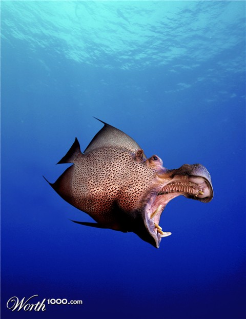 Photoshop Design by damonfreemanza