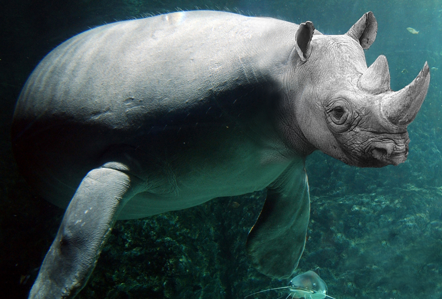 Photoshop Design by roastdawgg for DesignCrowd (Community Contests) | Design #9082288