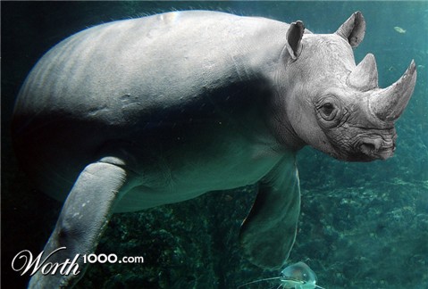 Photoshop Design by roastdawgg