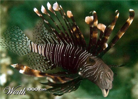 Photoshop Design by despiris