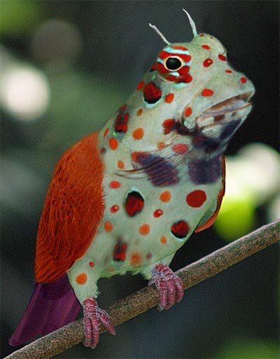 Photoshop Design by Tedmus for DesignCrowd (Community Contests) | Design #9082142