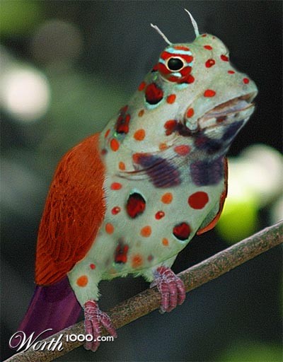 Photoshop Design by Tedmus