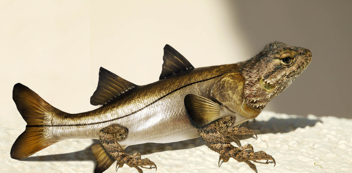 Photoshop Design by duragg for DesignCrowd (Community Contests) | Design #9082352