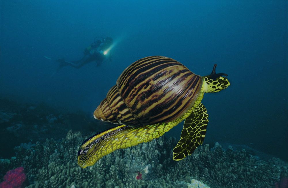 Design Photoshop par pistike pour DesignCrowd (Community Contests) | Design #9082439