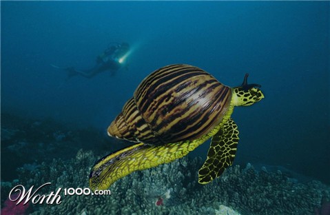 Photoshop Design by pistike