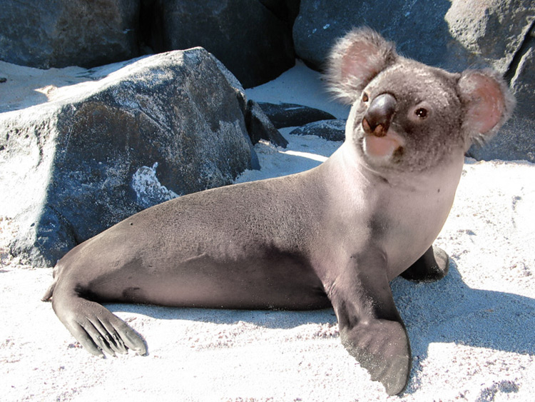 Diseño de Photoshop por renatodornas para DesignCrowd (Community Contests) | Diseño #9082343