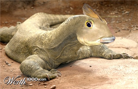 Photoshop Design by digammo