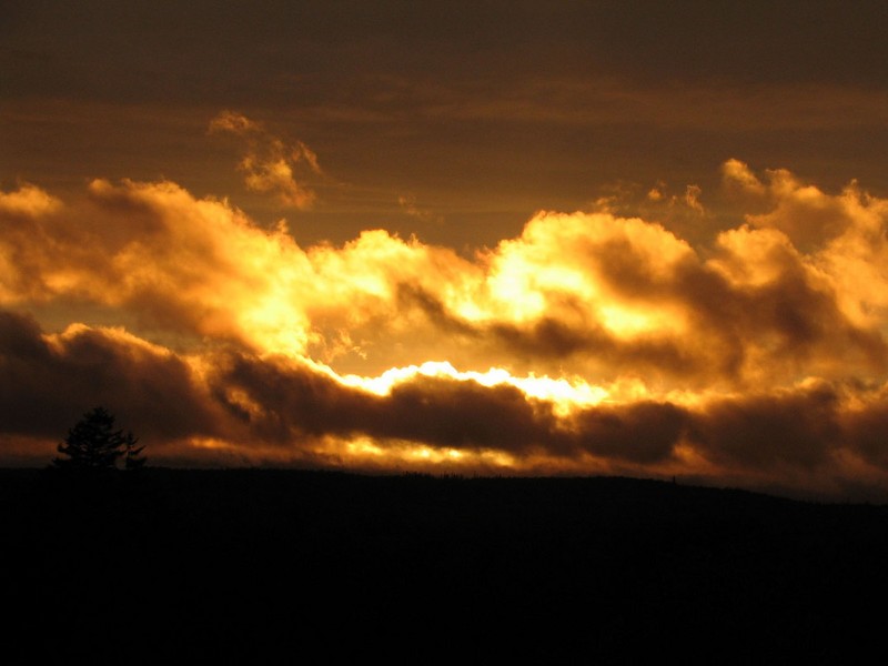 Photography by MissTish for DesignCrowd (Community Contests) | Design #9077181