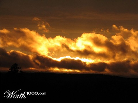 Photography by MissTish