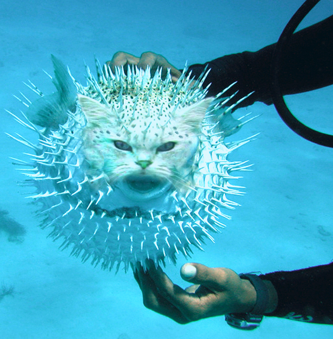 Design Photoshop par eduj65 pour DesignCrowd (Community Contests) | Design #9082409