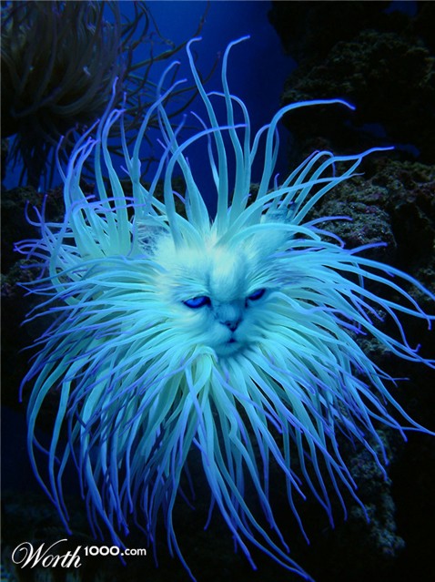 Photoshop Design by hotweaselsoup