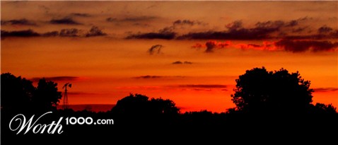 Photography by CurlyJ