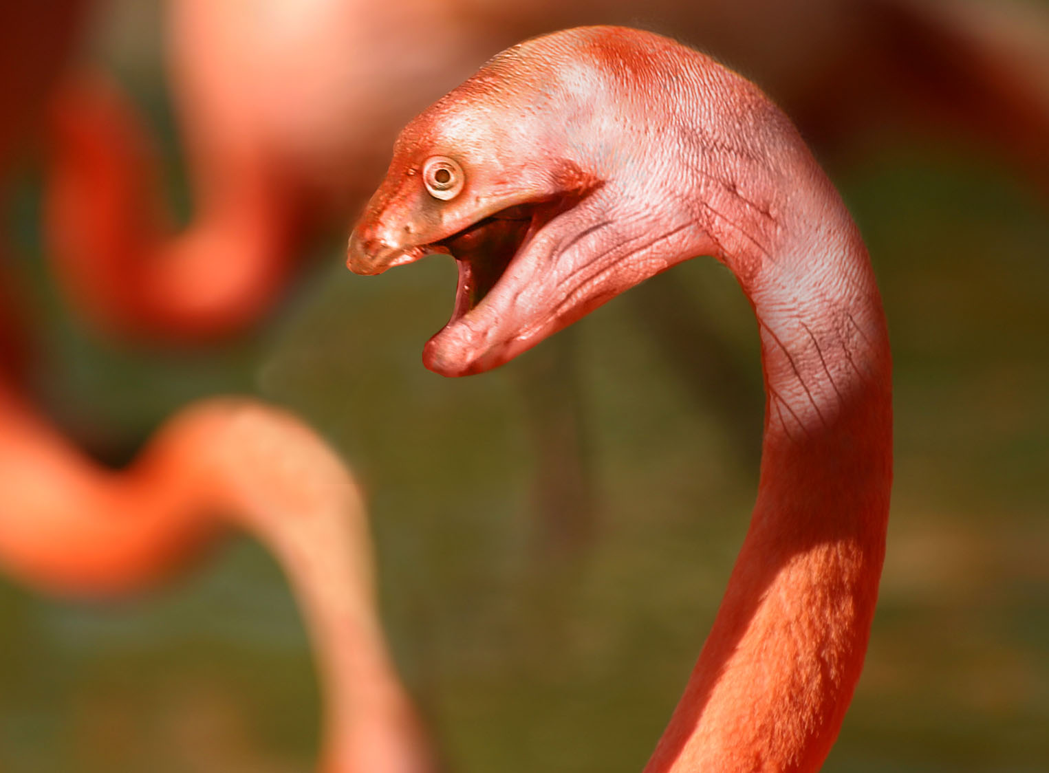 Design Photoshop par Logoinvision pour DesignCrowd (Community Contests) | Design #9082369