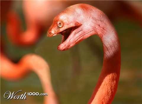 Photoshop Design by Logoinvision