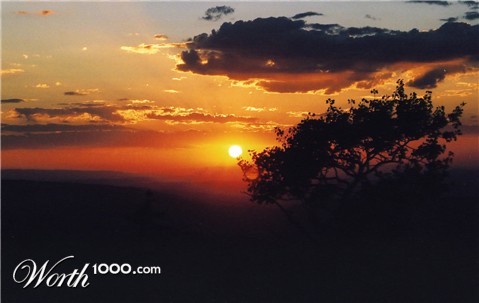 Photography by padoopie