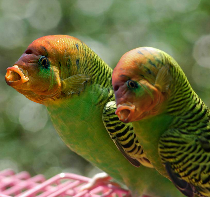 Design Photoshop par Dziedzic pour DesignCrowd (Community Contests) | Design #9082382