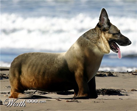 Photoshop Design by guerrero2684